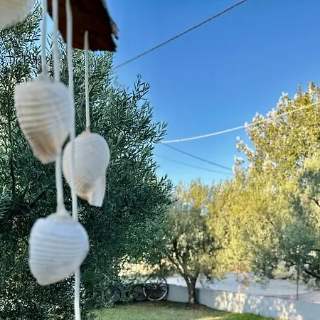 Holiday home Shell-paralia Ofriniou