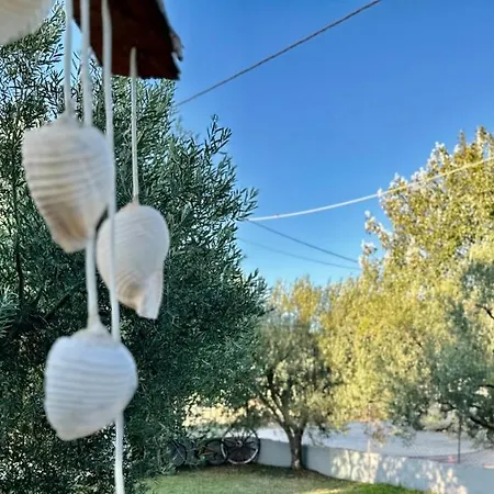 Hébergement de vacances Shell-paralia Ofriniou