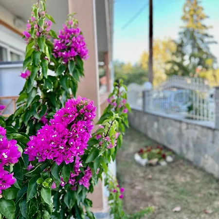 Shell-paralia Ofriniou Casa vacanze Ofrínion