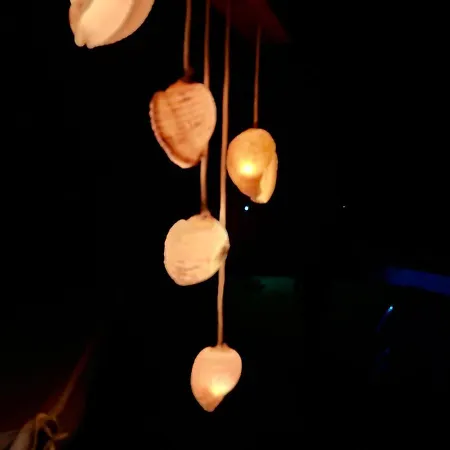 Shell-paralia Ofriniou