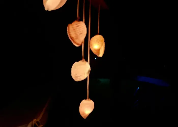 Shell-paralia Ofriniou